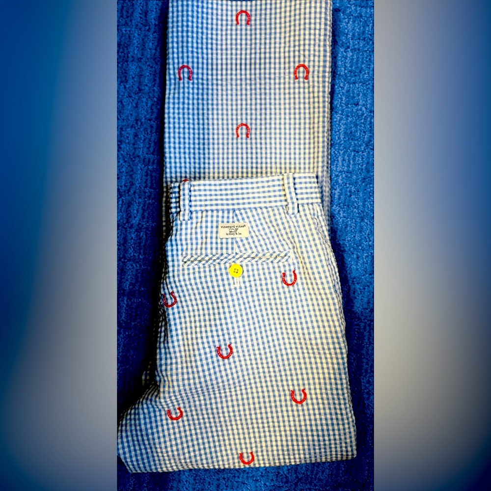 Embroidered Horseshoe Blue Gingham Chinos - Men